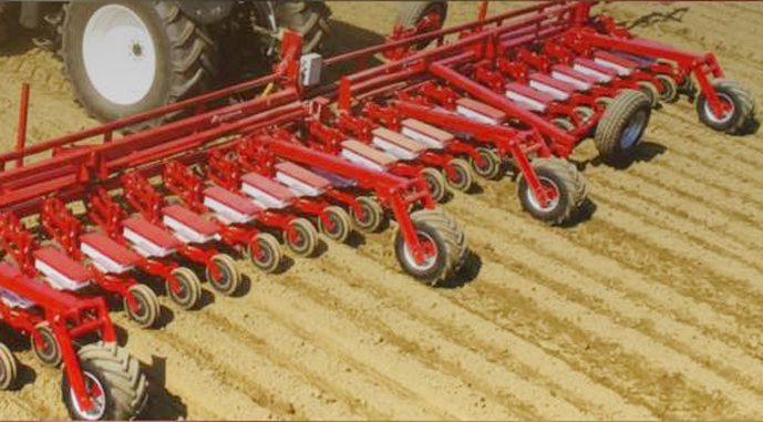 Sowing-Zah-bug-