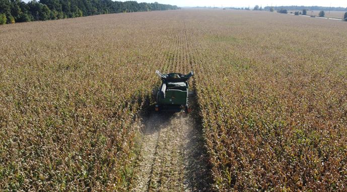 corn-harvest-agrein-7656