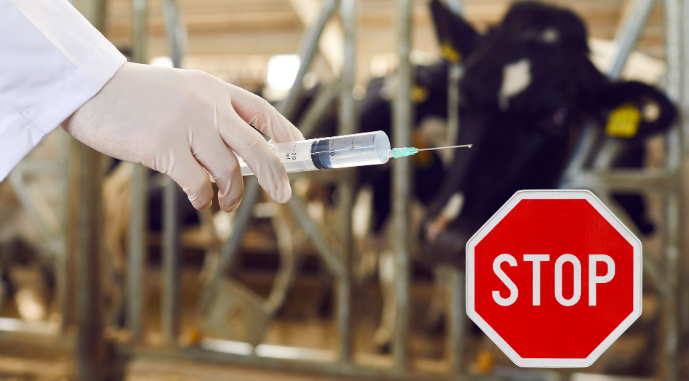 posiliti-vidpovidalnist-chim-zagrozhuyut-nezareyestrovani-veterinarni-preparati