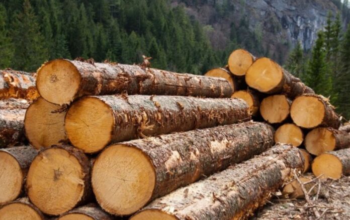 imgonline_com_ua_resize_asfyqmff2gb8rty_264933deb9f507c4adde1360e5d2d7ba_1300x820